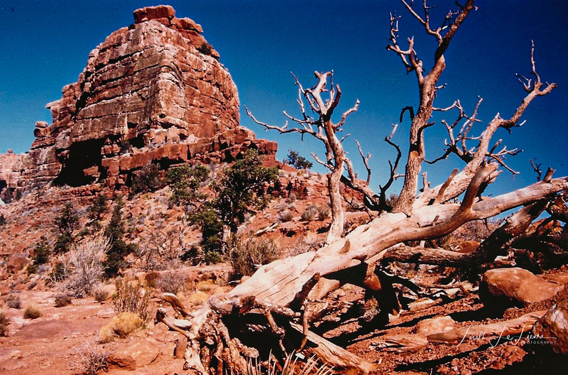 Scan 2024-1-3 172515.jpg