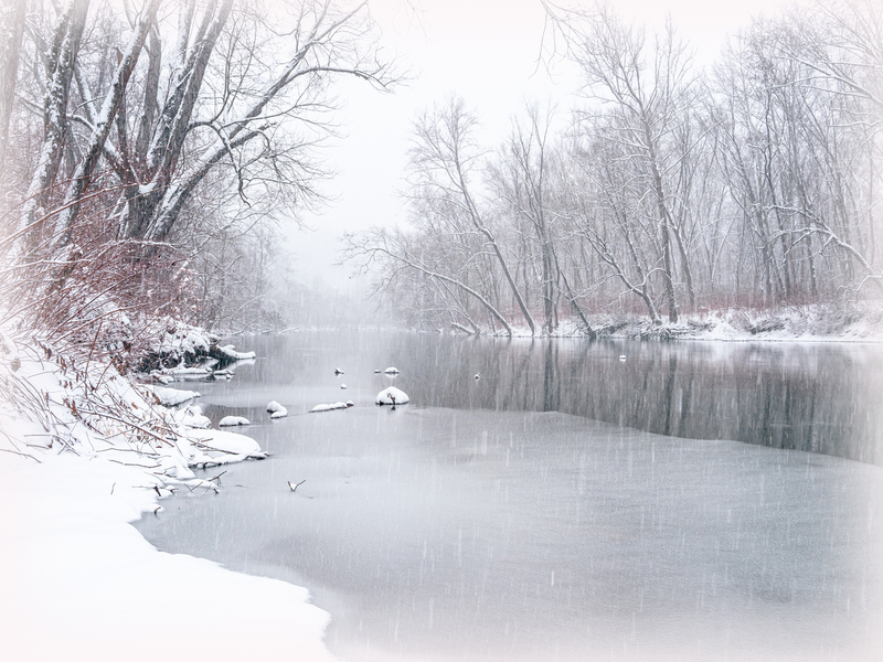 Snow--2.jpg :: OLYMPUS DIGITAL CAMERA