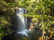Ohiopyle-13.jpg