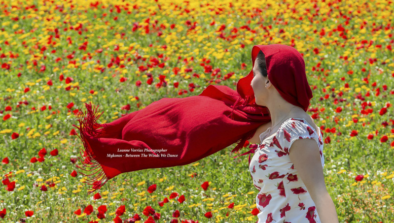 Poppy Fields-60x34 cm wm(2).jpg