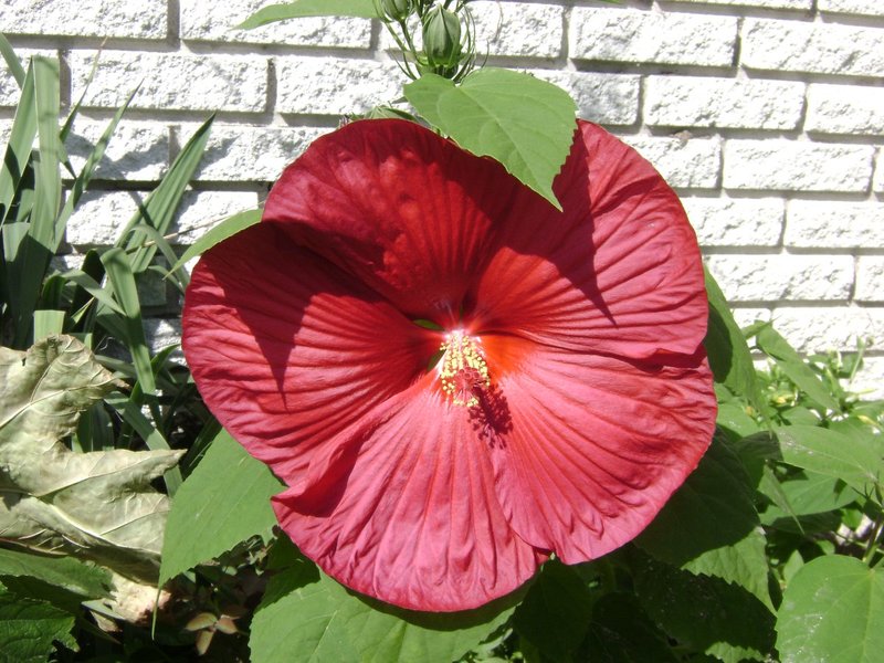 DSC00045.jpg