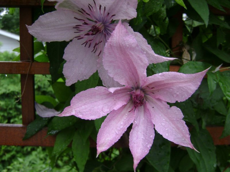 DSC00170.jpg