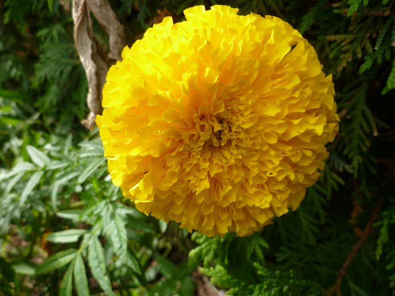 P1000262.jpg