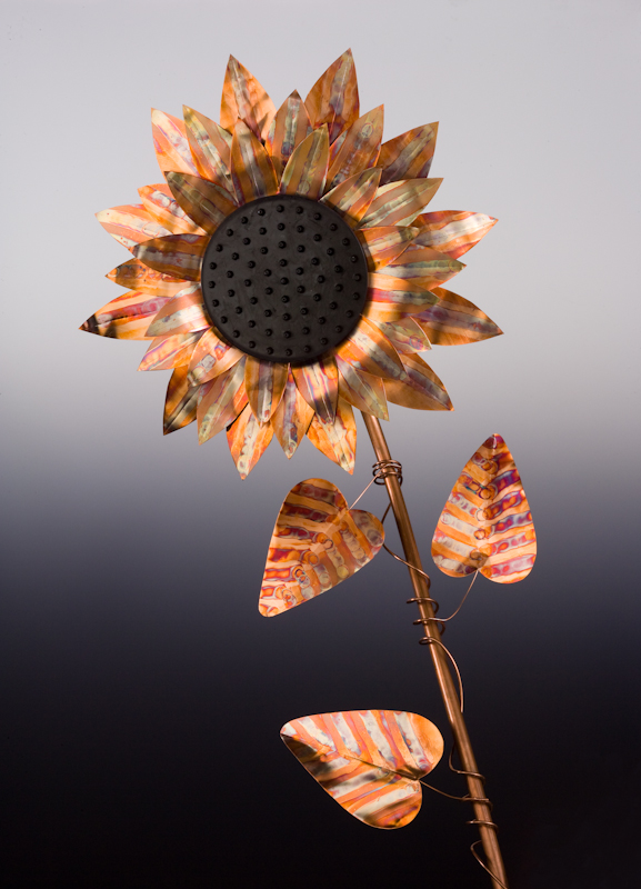 Ellen_Sullivan_sunflower.jpg