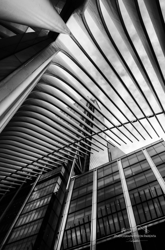 DSC_4551bw11624 pr sig copy.jpg