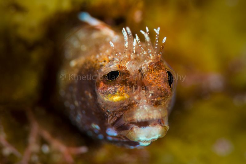 DSC_1889-Edit1.jpg