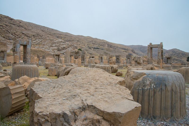 DSC_3772.jpg