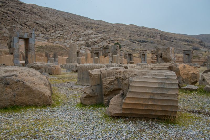 DSC_3775.jpg