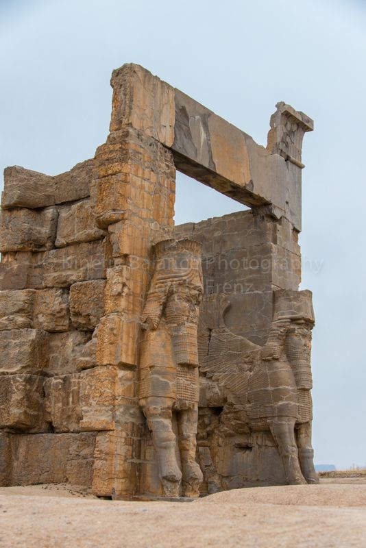 DSC_3843.jpg
