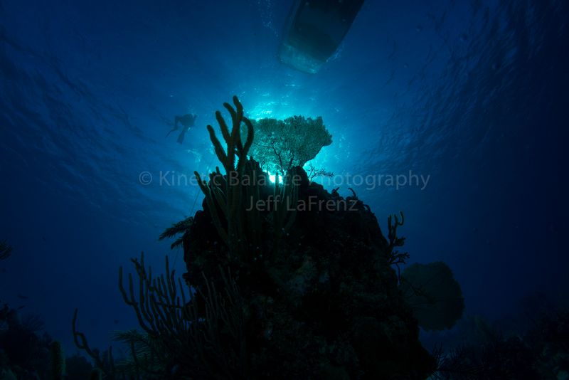 DSC_42731.jpg