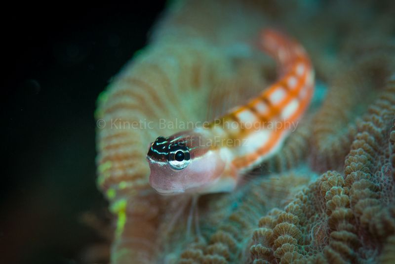 DSC_47702.jpg