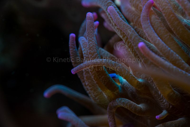 DSC_57782.jpg