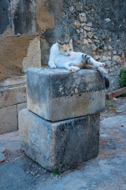 DSC_5858.jpg