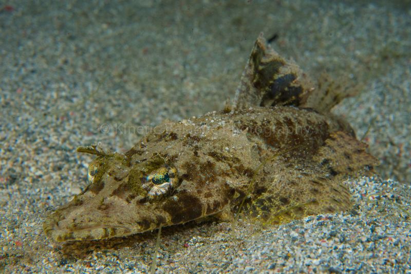 DSC_59121.jpg