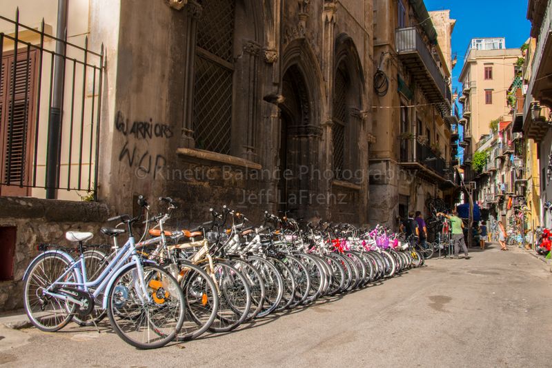 DSC_6556.jpg