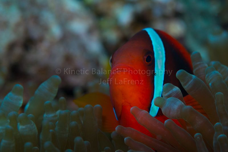 DSC_67811.jpg