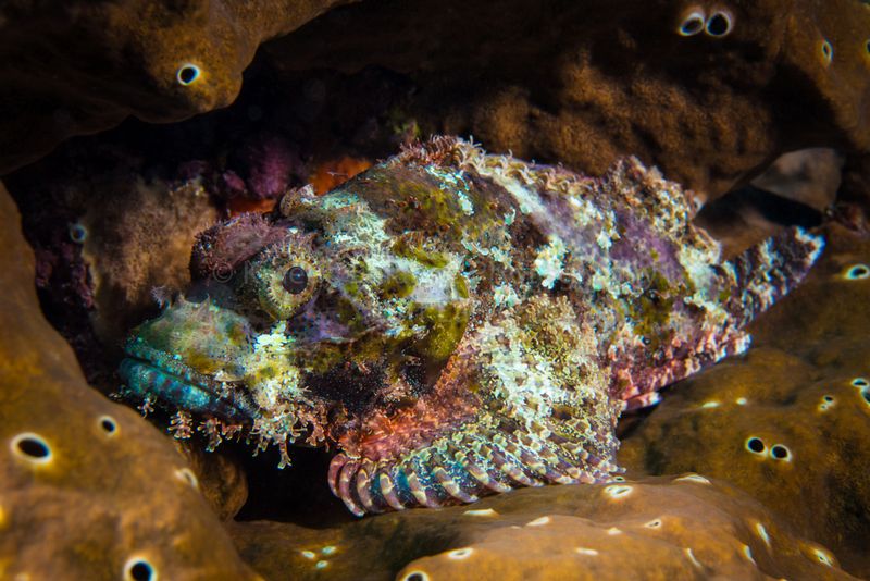 DSC_6805-Edit1.jpg
