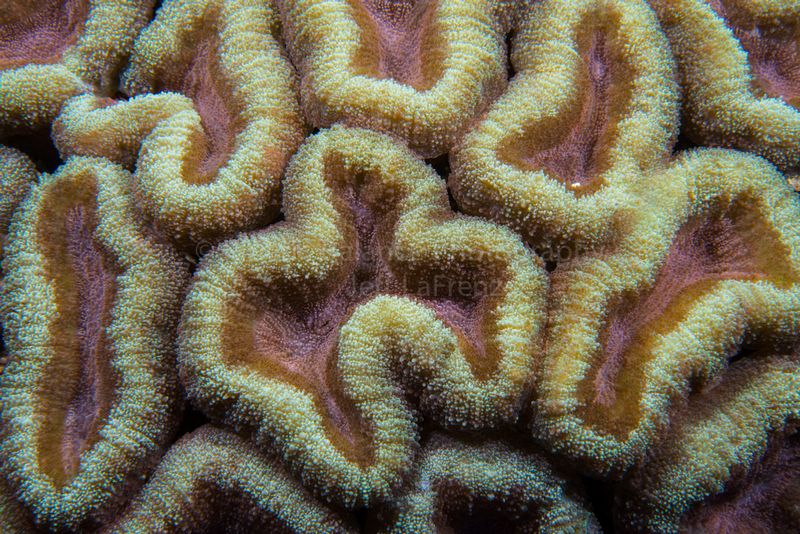 DSC_6827.jpg
