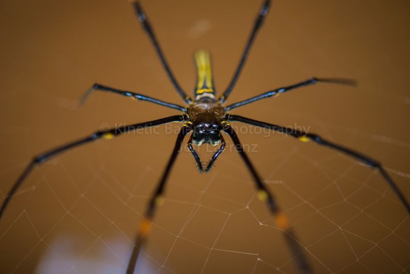 DSC_73511.jpg