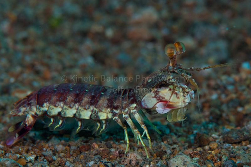 DSC_78151.jpg