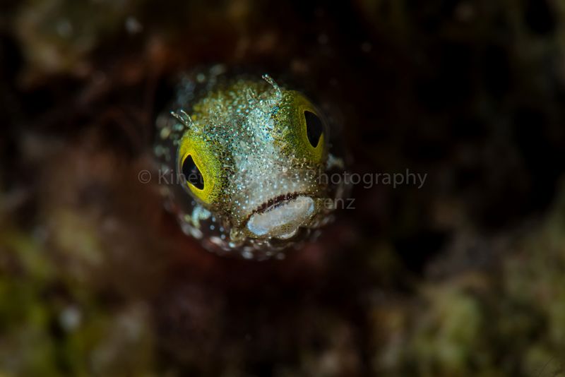 DSC_85591.jpg