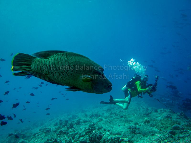 IMG_0232-2-Edit.jpg