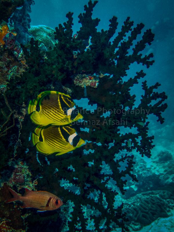 IMG_0538-2-Edit.jpg