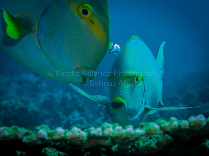 IMG_5302-Edit.jpg