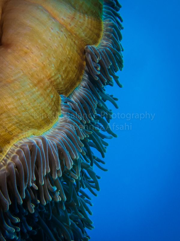 IMG_6363-Edit.jpg