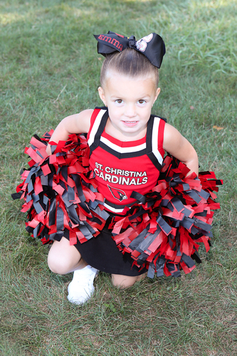 Click to view SCCL2202.jpg SCCL2202.jpg