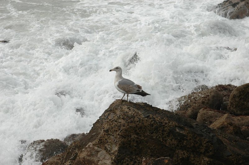 DSC_0023.jpg