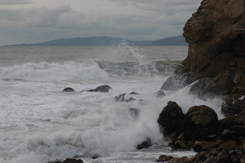 DSC_0037.jpg