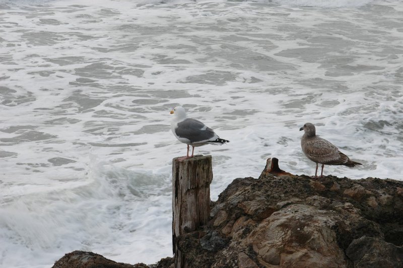 DSC_0040.jpg