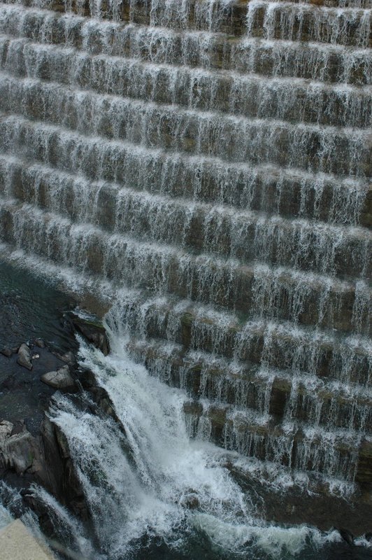 DSC_0054.jpg