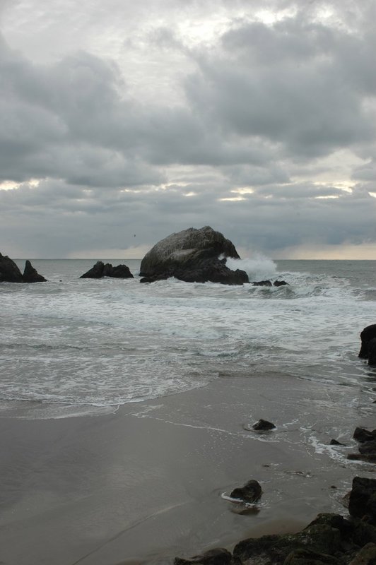 DSC_00551.jpg