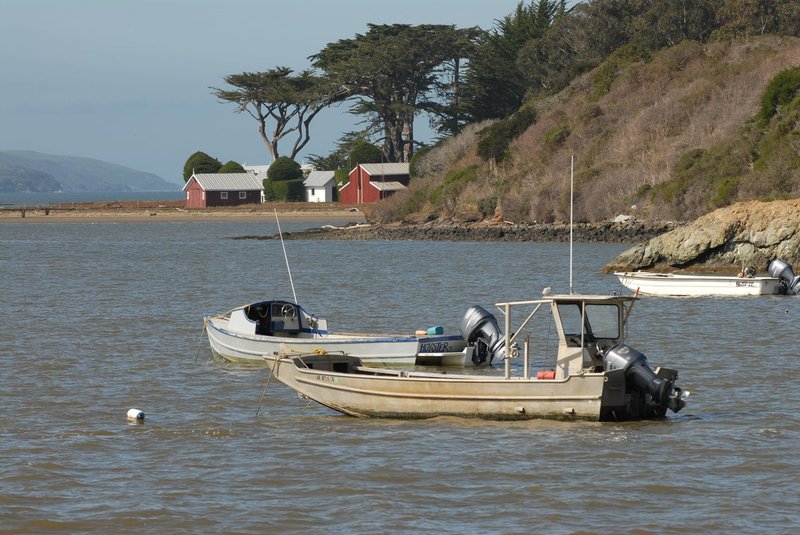 DSC_0067.jpg
