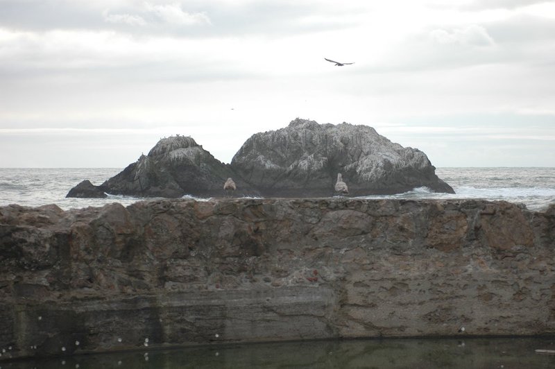 DSC_0070.jpg