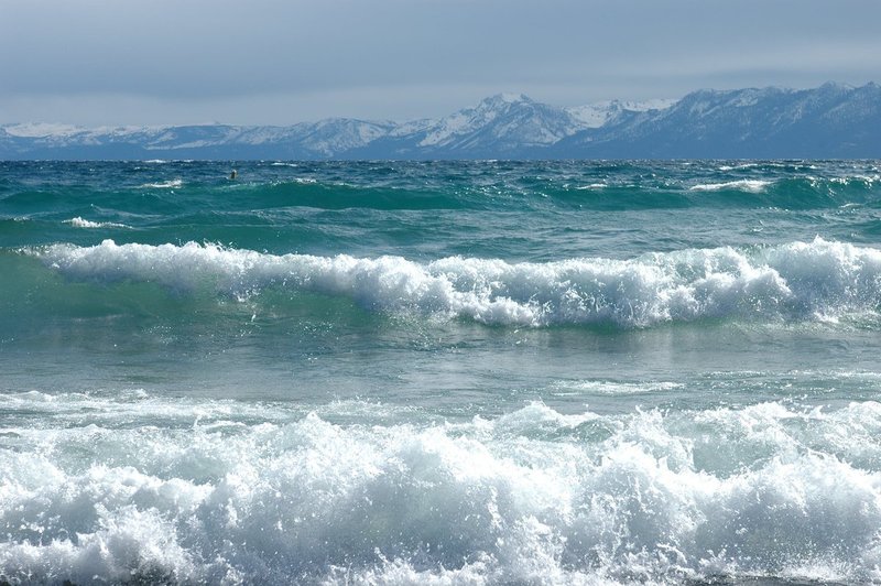 DSC_0081.jpg