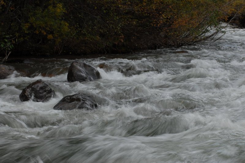 DSC_0093.jpg