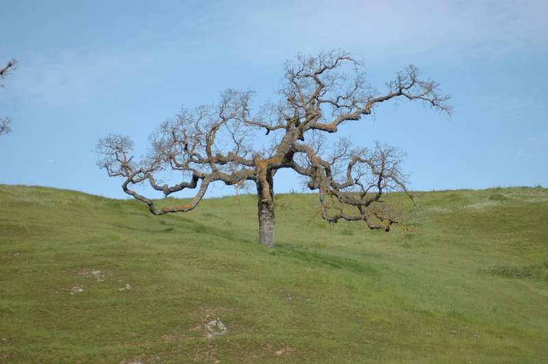 DSC_0094.jpg