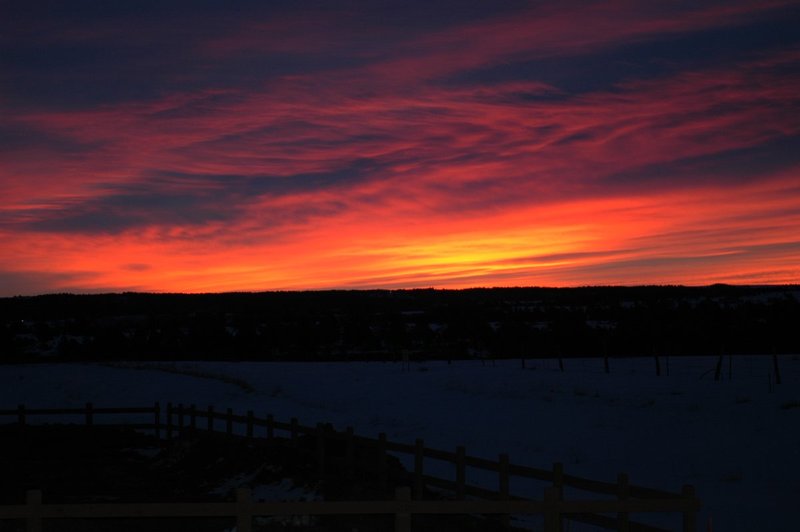 DSC_0098.jpg