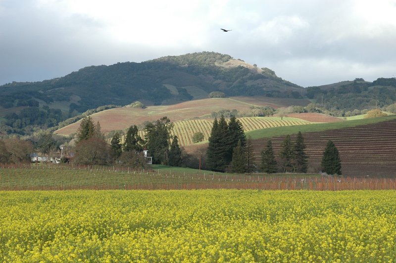 DSC_0111-3.jpg