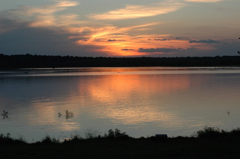 DSC_0111.jpg