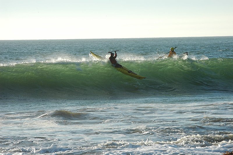 DSC_0156.jpg