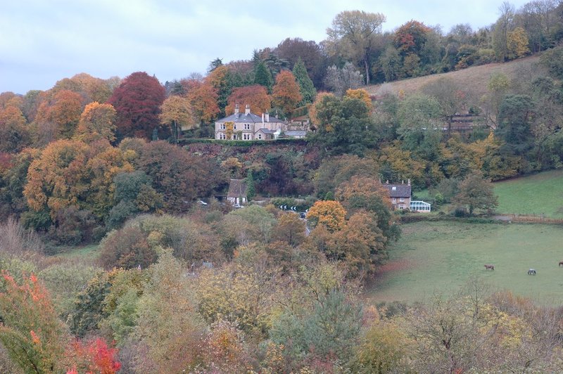 DSC_0175.jpg