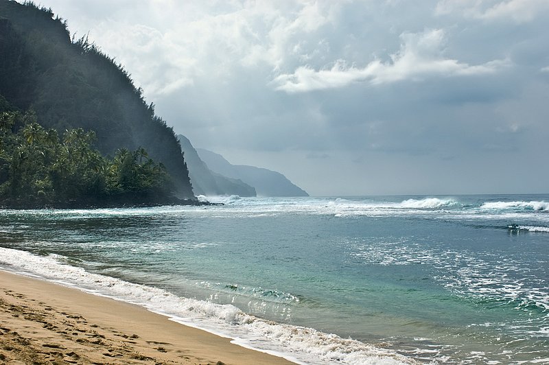 DSC_0202_B.jpg