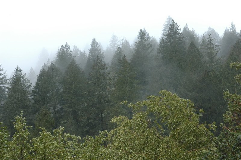DSC_0472.jpg
