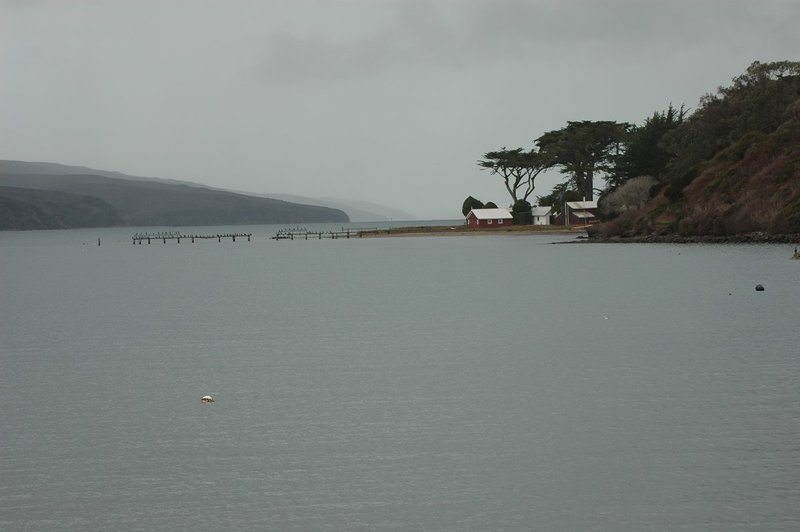 DSC_0542.jpg
