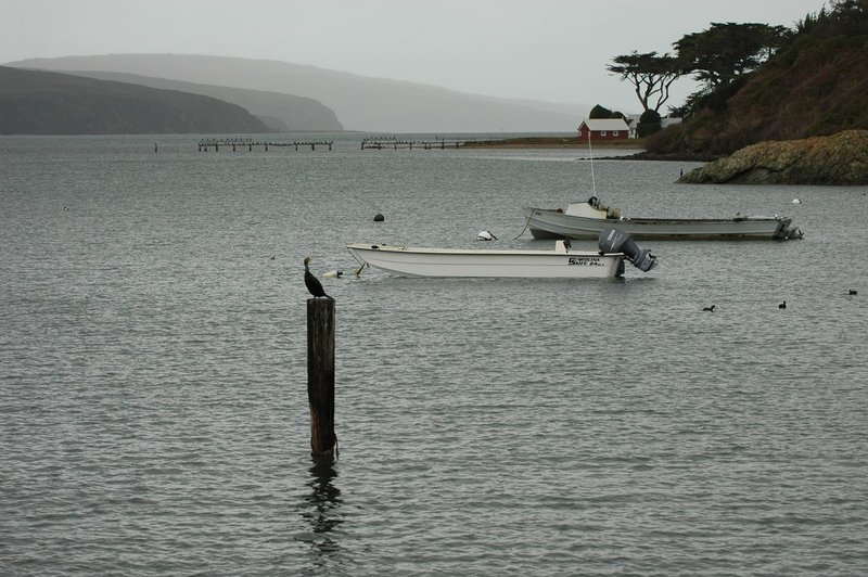 DSC_0552.jpg