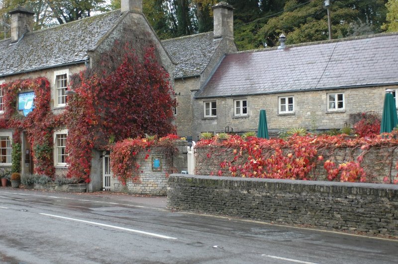 DSC_0561.jpg